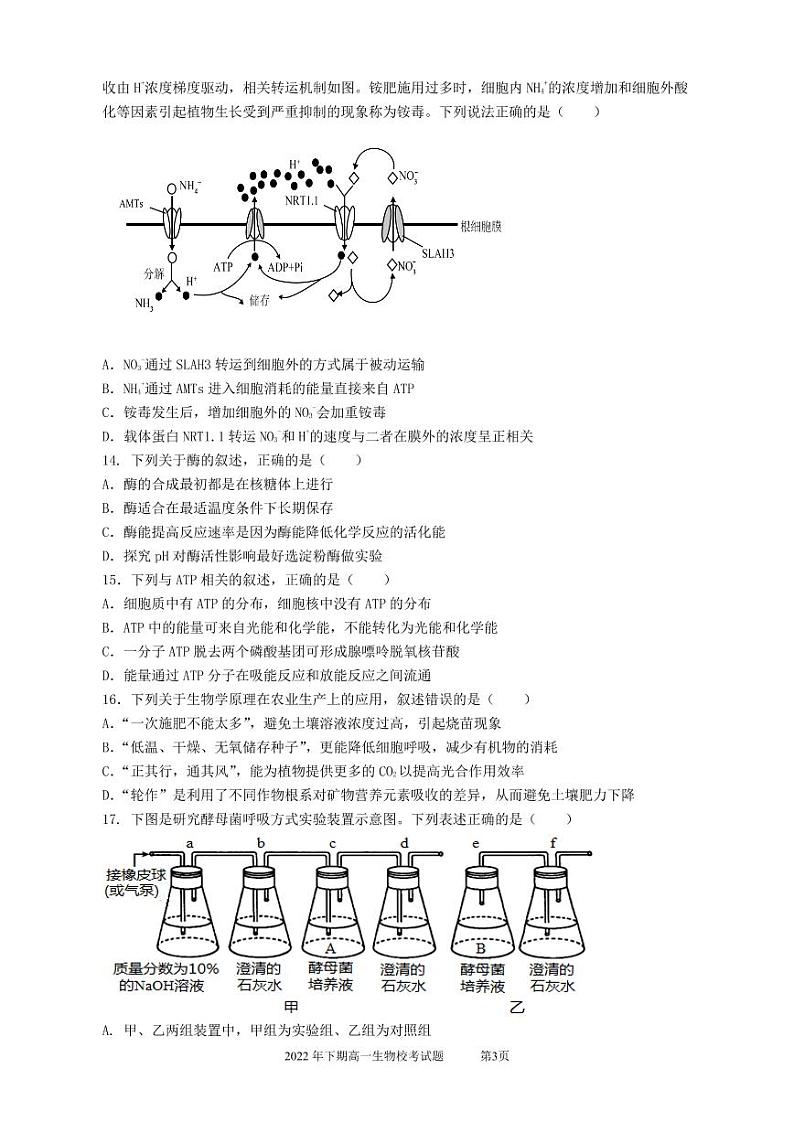 2023遂宁安居育才中学校高一上学期1月期末生物试题PDF版含答案03