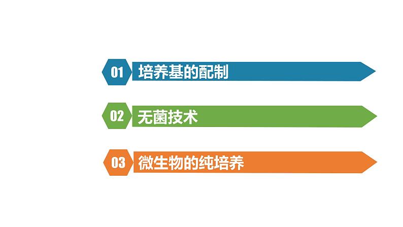 1.2.1微生物的培养技术及应用课件2021-2022学年高二下学期生物人教版选择性必修302