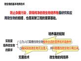 1.2.1微生物的培养技术及应用课件2021-2022学年高二下学期生物人教版选择性必修3