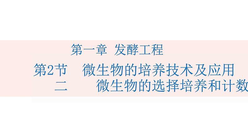 1.2.2微生物的培养技术及应用课件2021-2022学年高二下学期生物人教版选择性必修301