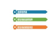 1.2.2微生物的培养技术及应用课件2021-2022学年高二下学期生物人教版选择性必修3