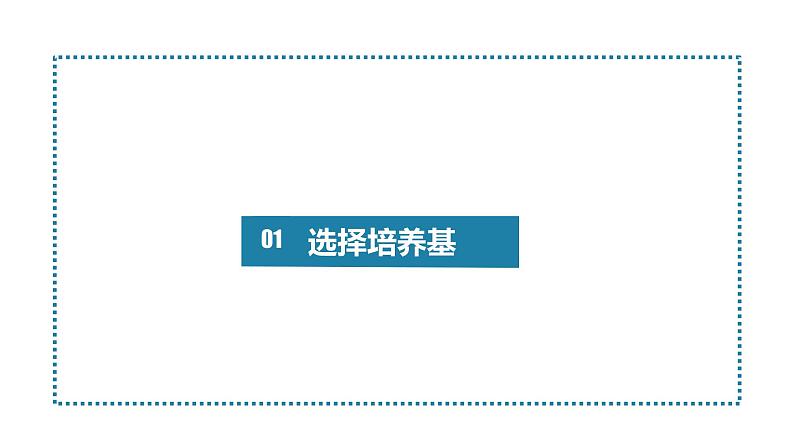 1.2.2微生物的培养技术及应用课件2021-2022学年高二下学期生物人教版选择性必修304