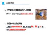 1.2.2微生物的培養(yǎng)技術及應用課件2021-2022學年高二下學期生物人教版選擇性必修3