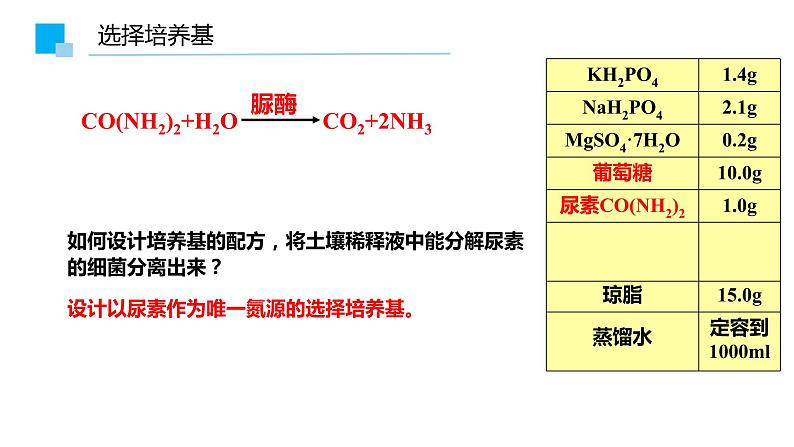 1.2.2微生物的培养技术及应用课件2021-2022学年高二下学期生物人教版选择性必修307