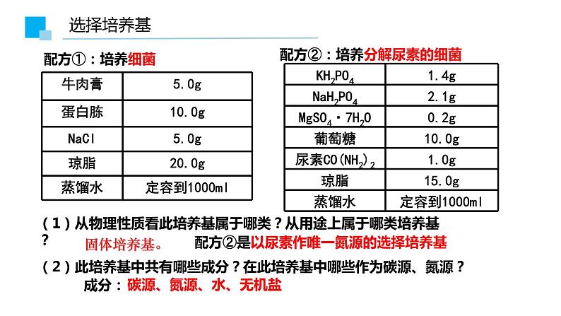 1.2.2微生物的培养技术及应用课件2021-2022学年高二下学期生物人教版选择性必修308