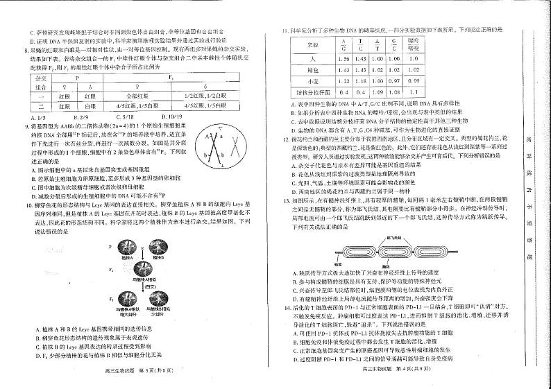 2023届安徽省合肥市高三第一次教学质量检测 生物试题及答案02