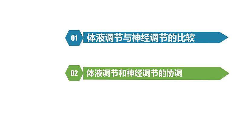 3.3 体液调节与神经调节的关系课件PPT02