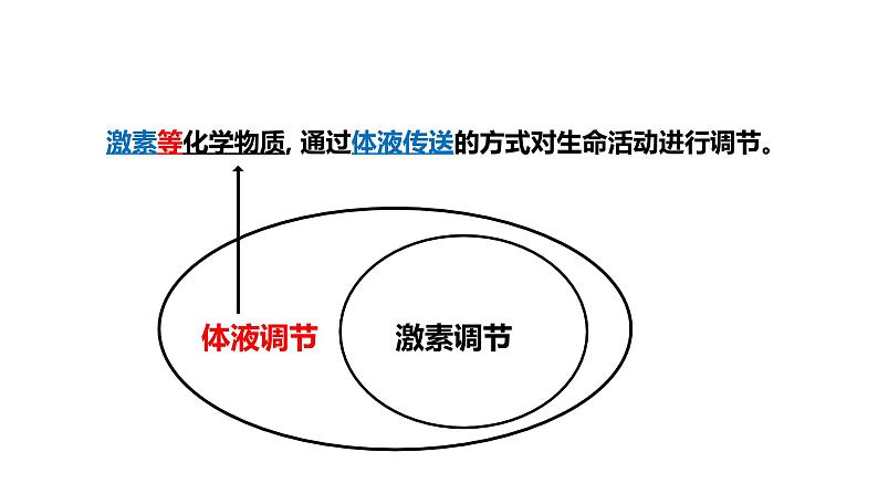 3.3 体液调节与神经调节的关系课件PPT08