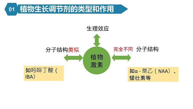 5.3植物生长调节剂的应用课件PPT05