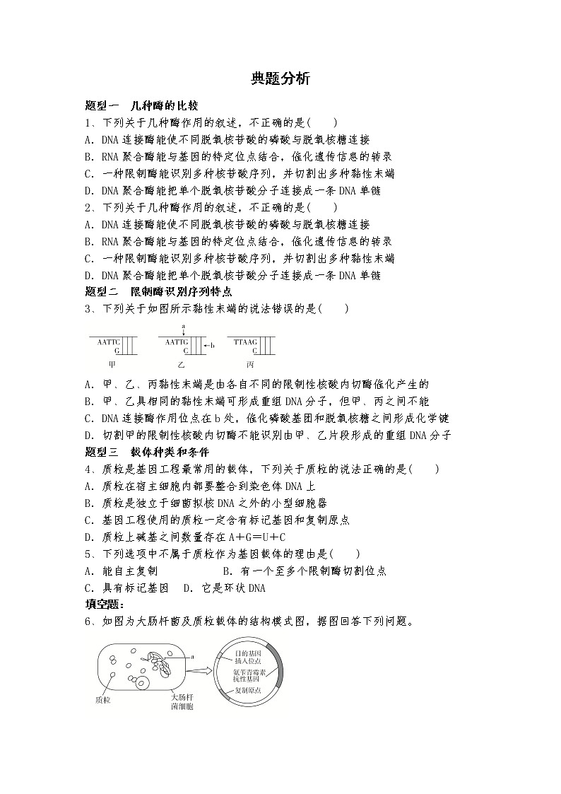 3.1重组DNA技术的基本工具同步作业2023年全国高二生物有答案01