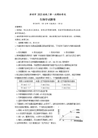 2023届淮北市高三一模生物试题（文字版）