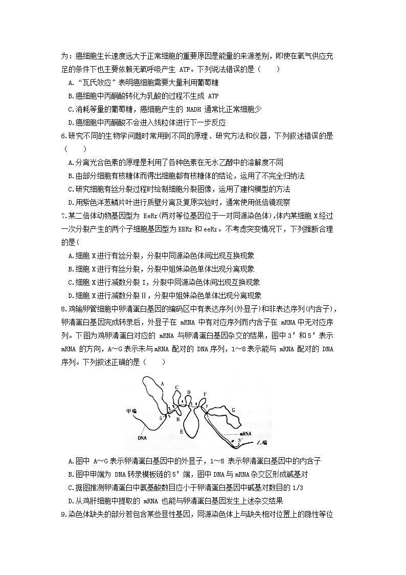 2023届淮北市高三一模生物试题（文字版）02
