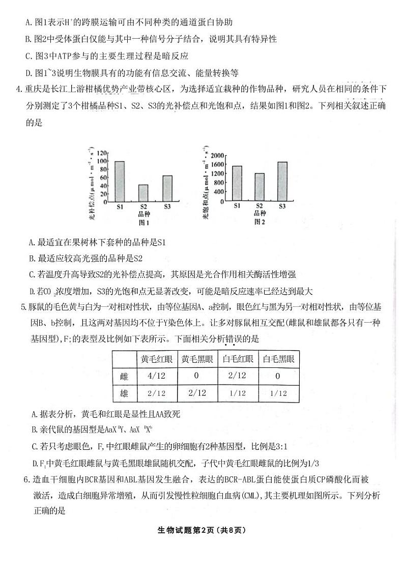 重庆市高2023届高三第六次质量检测生物试题第2页