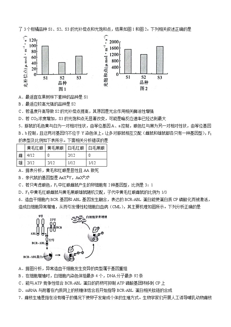 2023重庆市南开中学高三下学期第六次质量检测试题（2月）生物含解析02