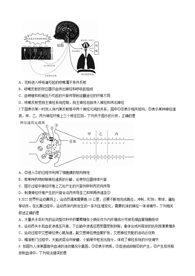 湖北省荆州市监利市2022-2023学年高二2月调考生物试题含答案第3页