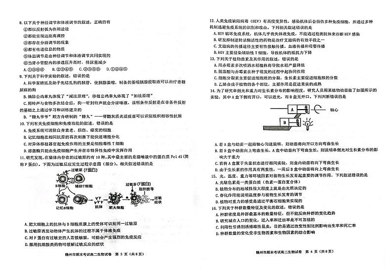 2023赣州高二上学期期末考试生物试题扫描版含答案02