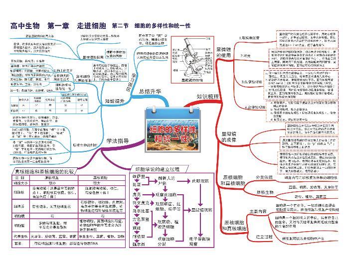 高中生物思维导图-第一章 走进细胞02