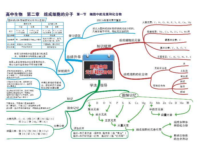 高中生物思维导图-第一章 走进细胞03