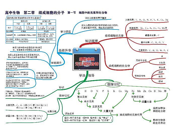 高中生物思维导图-第二章 组成细胞的分子第1页
