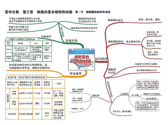 高中生物思维导图-第三章 细胞的基本结构和功能01