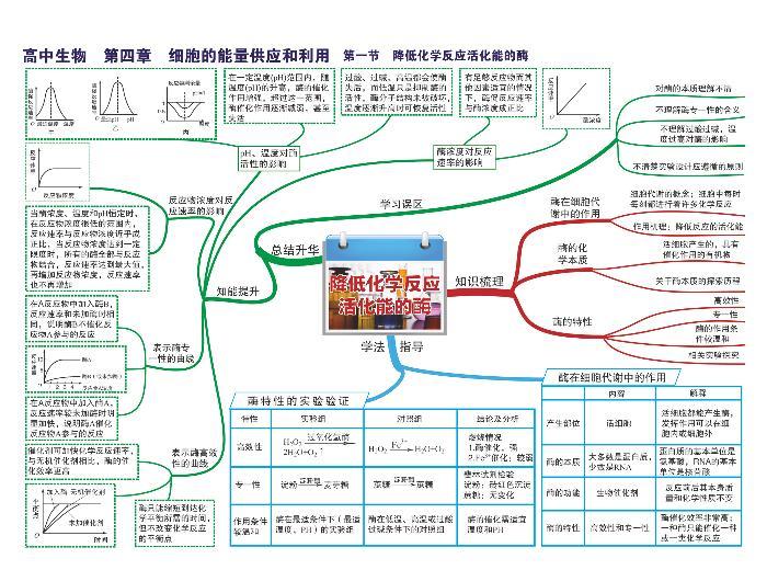 高中生物思维导图-第四章 细胞的能量供应和利用01