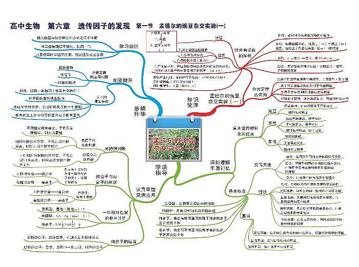 高中生物思维导图-第六章 遗传因子的发现01