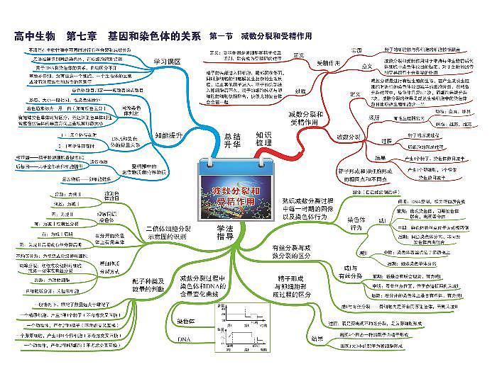 高中生物思维导图-第七章 基因和染色体的关系01