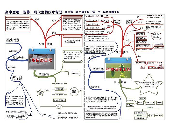 高中生物思维导图-选修 现代生物技术专题02