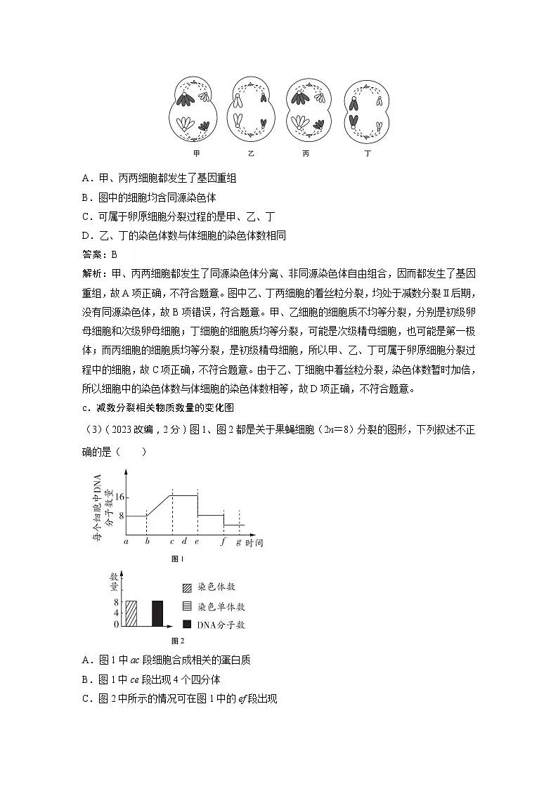 （普查练习）第16课-减数分裂和受精作用-2023版新高考生物一轮【提分宝典】全考点普查随堂课后练第2页