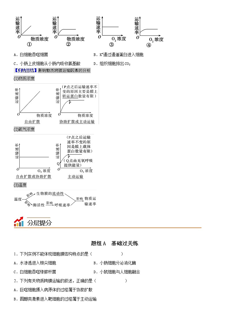 4.2 主动运输与胞吞、胞吐（学生版）第3页
