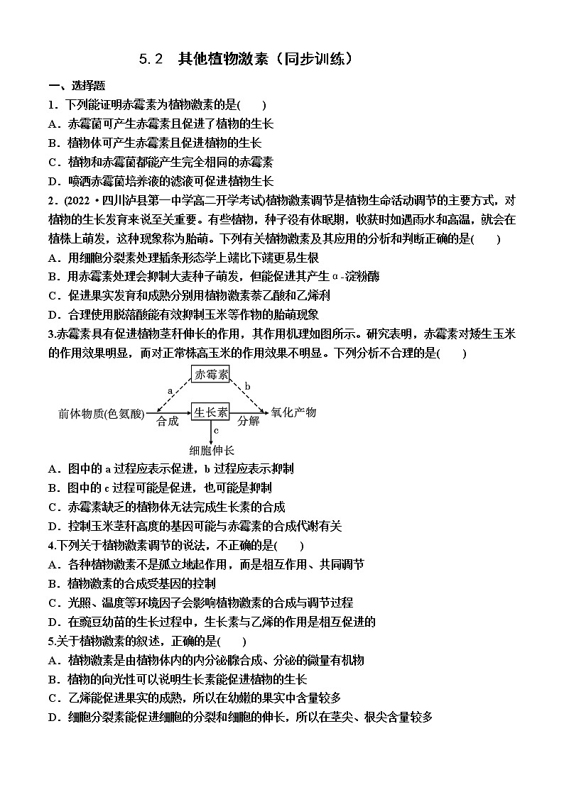5.2  其他植物激素（同步训练）—2022-2023学年高二上学期生物选择性必修1（人教版2019）第1页