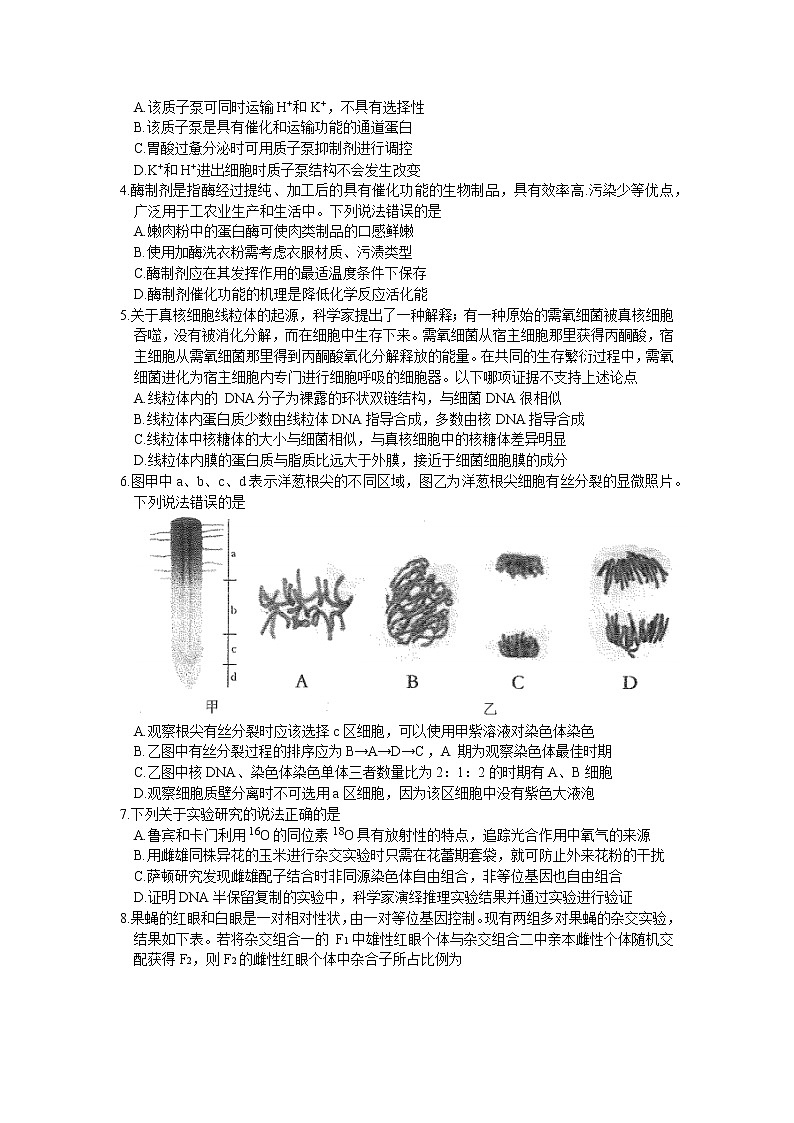 2023合肥高三第一次教学质量检测生物试题含答案02