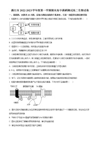 2023湛江高二上学期期末生物试题含答案