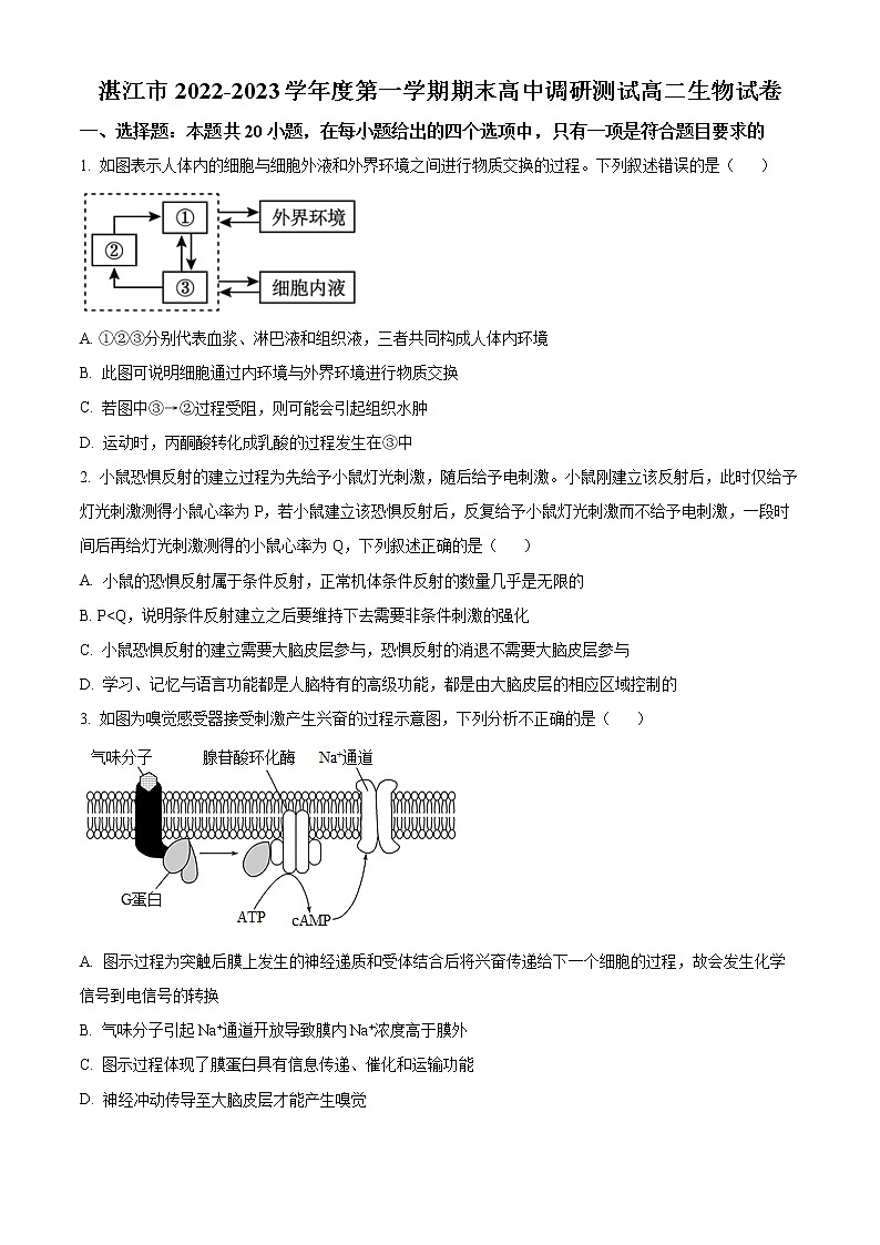 2023湛江高二上学期期末生物试题含答案第1页