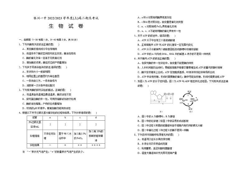 宁夏回族自治区银川一中2022-2023学年高二上学期期末考试生物试题01