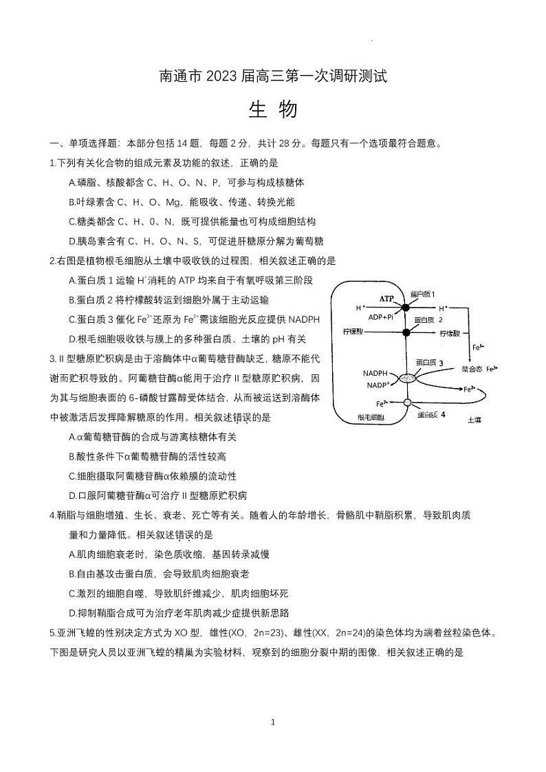 2023年南通市高三一模生物试题含答案解析01