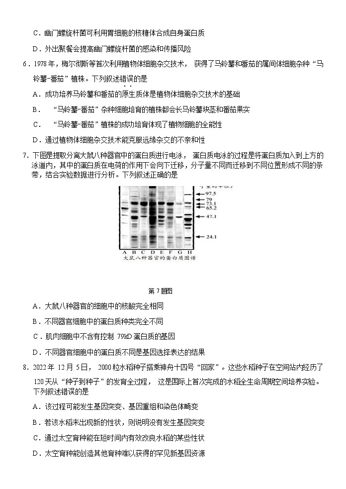 2023浙江省七彩阳光浙南名校联盟高三下学期返校考试生物试卷含答案03