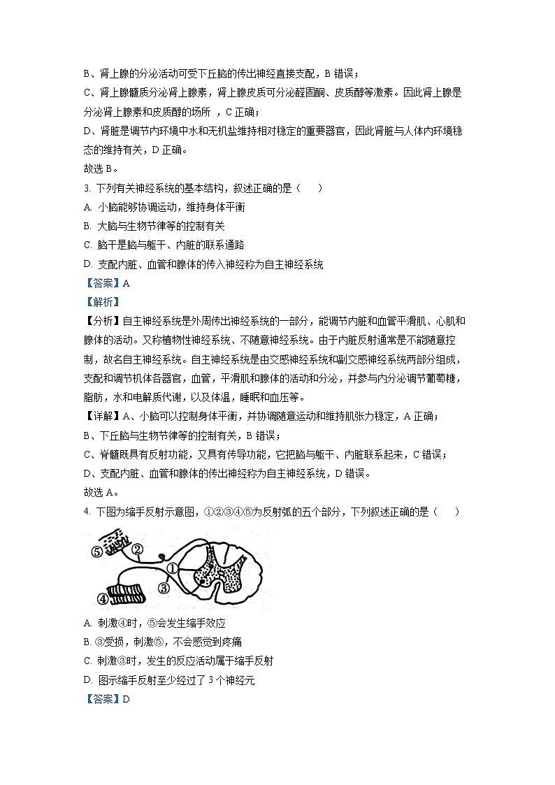 2023沧州高二上学期期末生物试题含解析02