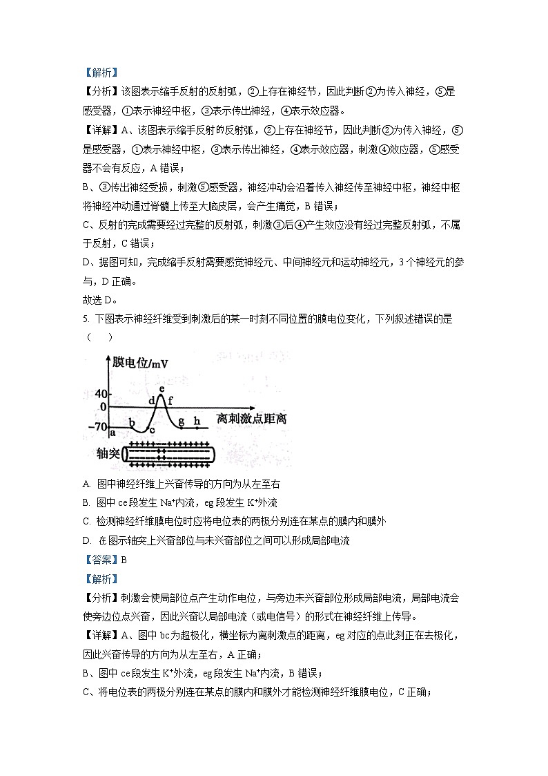 2023沧州高二上学期期末生物试题含解析03