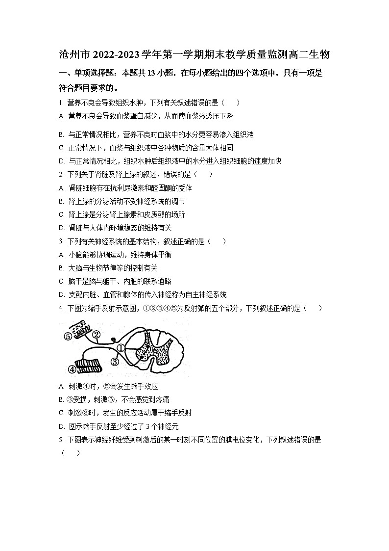 2023沧州高二上学期期末生物试题含解析01