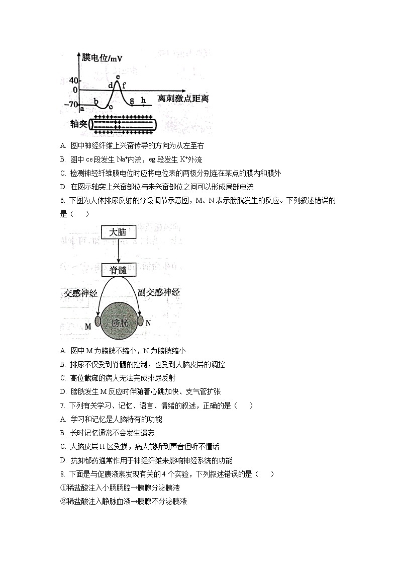 2023沧州高二上学期期末生物试题含解析02