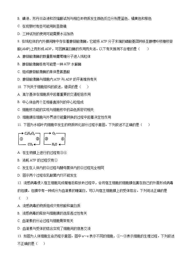 河北省保定市2022-2023学年高一上学期期末调研考试生物试题无答案第3页