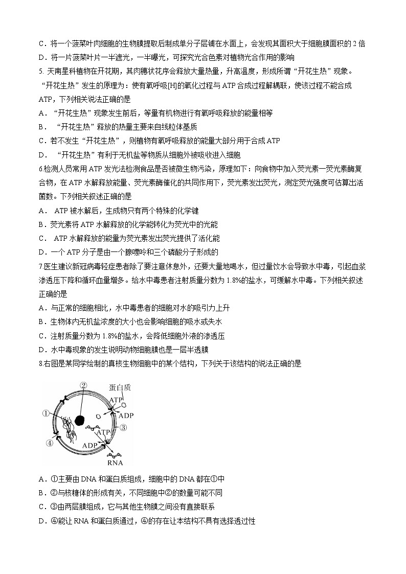 湖北省荆州市监利市2022-2023学年高一下学期2月调考生物试题含答案第2页