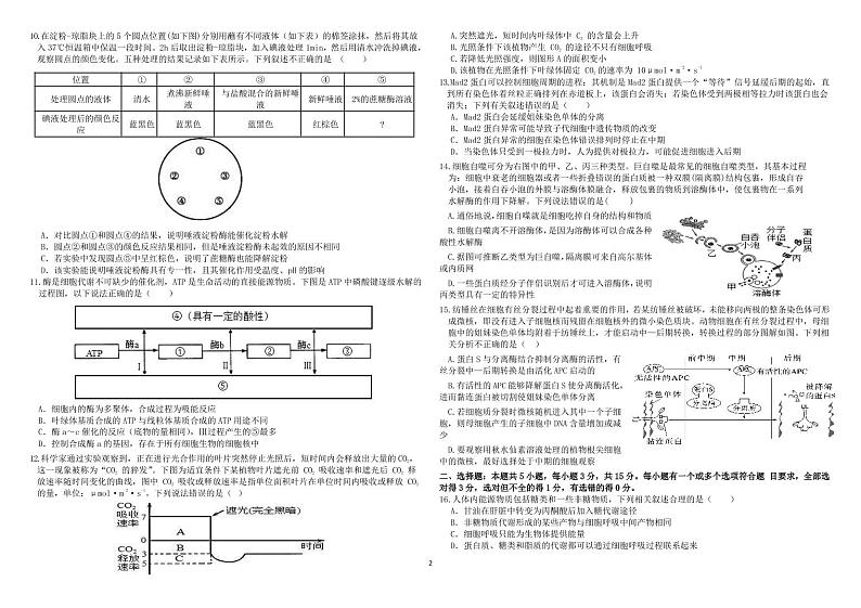 2023东营高一上学期期末考试生物试题含答案02