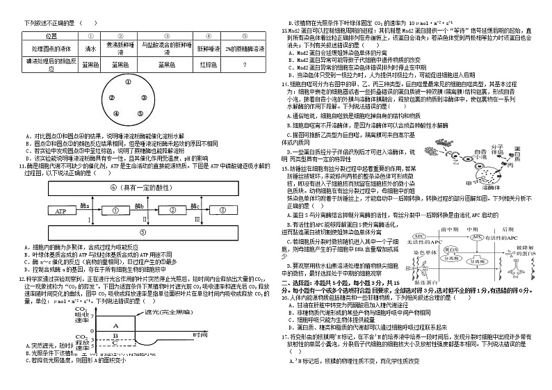 2023东营高一上学期期末考试生物试题含答案02