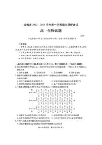 2023运城高一上学期期末生物试题扫描版含答案