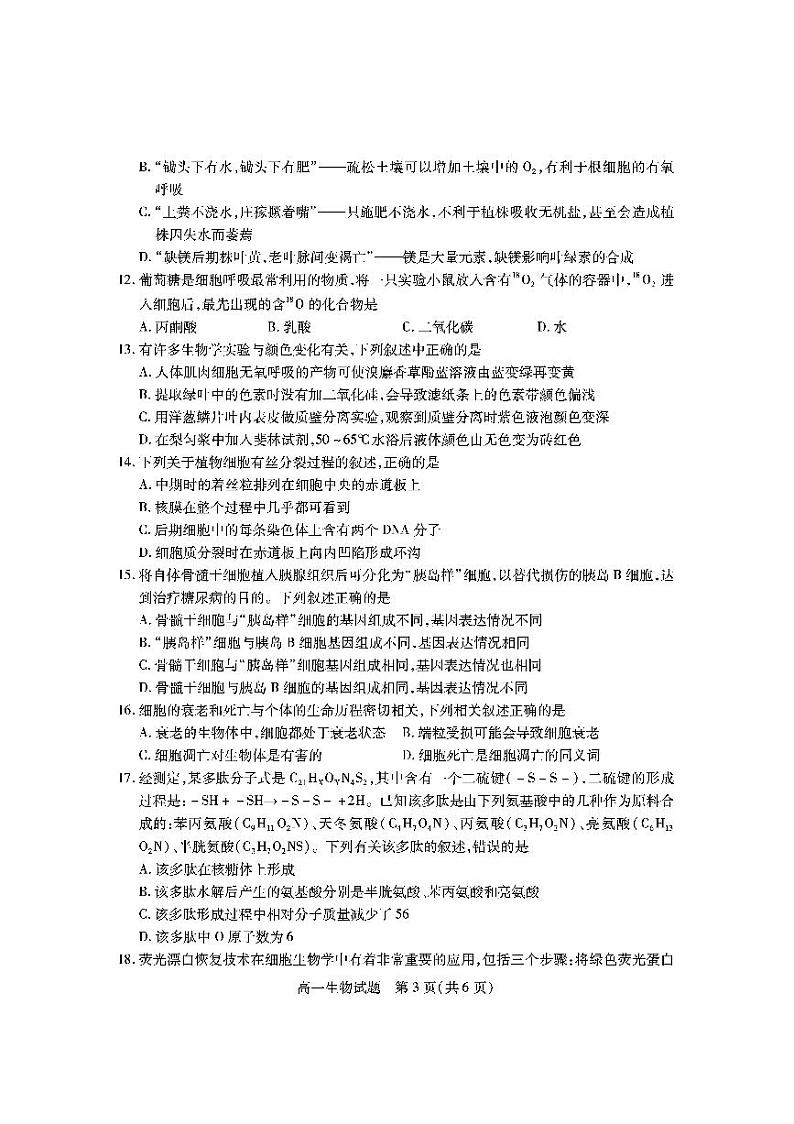 山西省运城市2022-2023学年高一上学期期末调研测试生物试题第3页