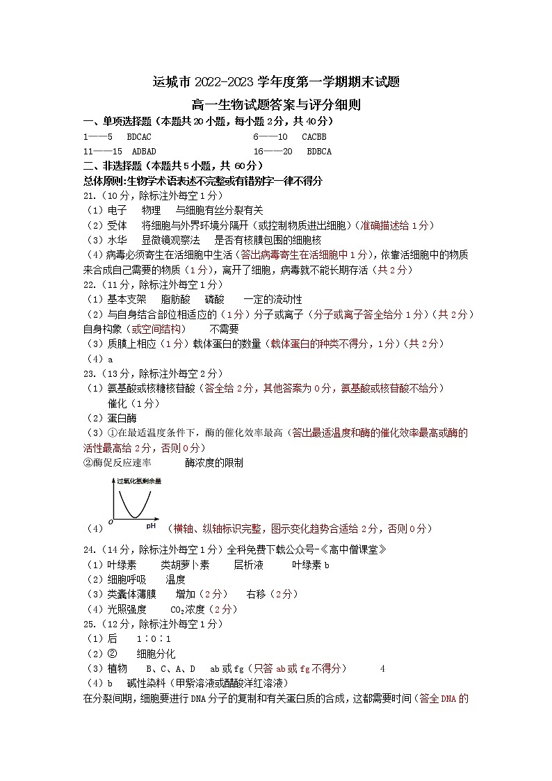 生物答案与评分细则第1页