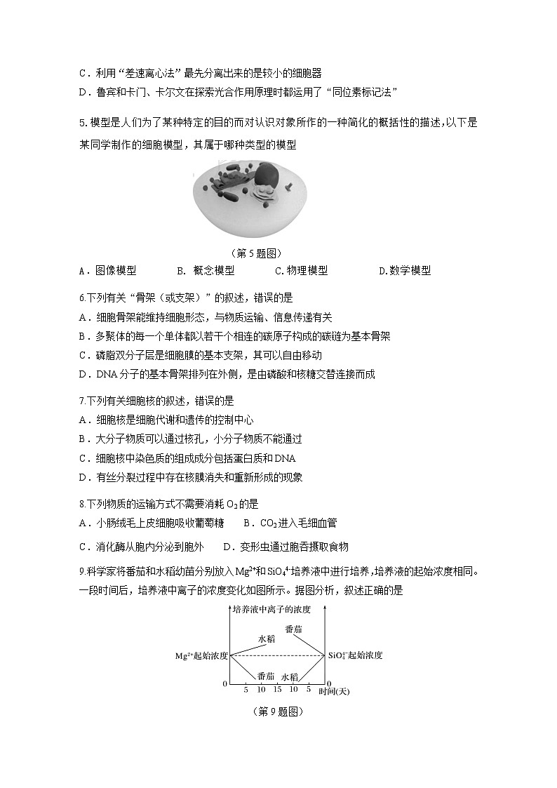 2023湛江高一上学期期末考试生物试题含答案02