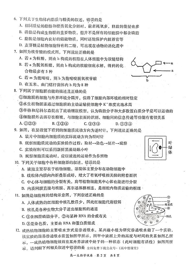 2023梅州高一上学期期末生物试题扫描版含答案02